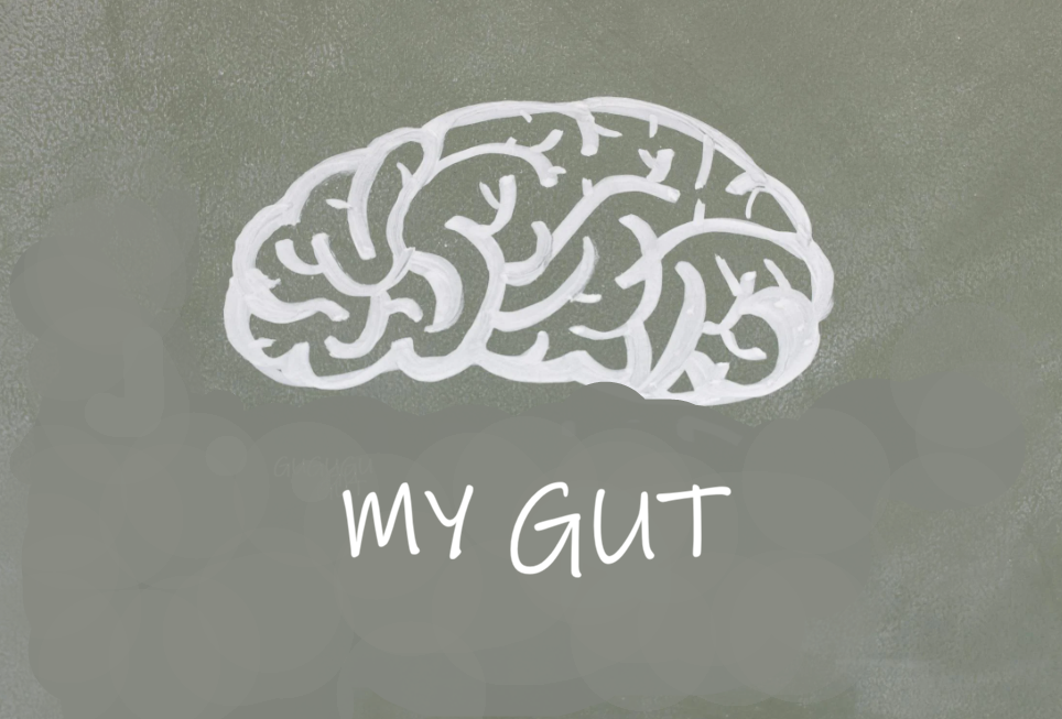 Une conversation silencieuse entre votre intestin et votre cerveau